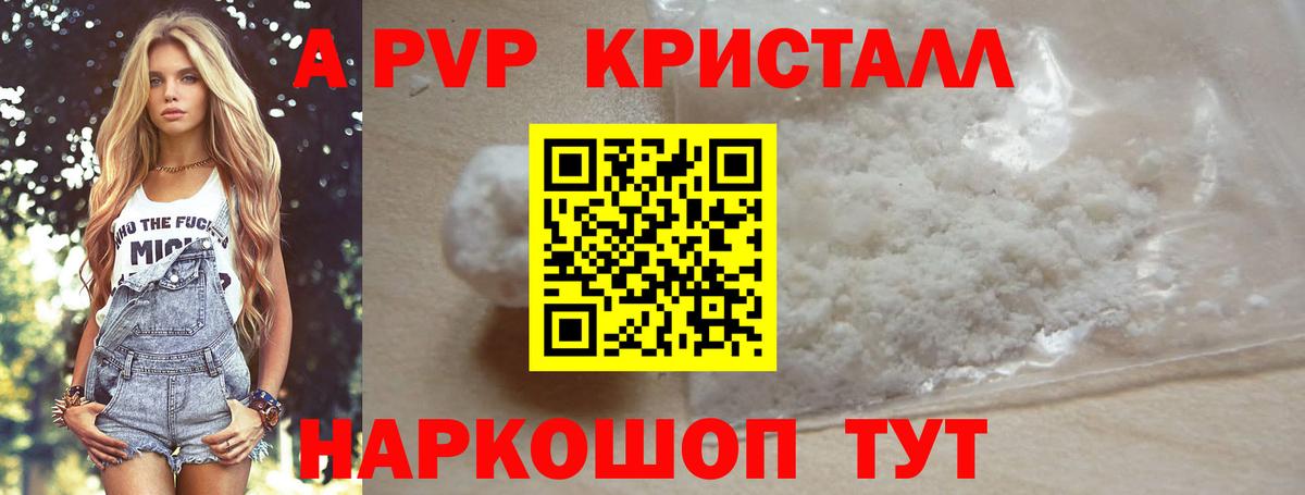 A PVP СК КРИС Саяногорск